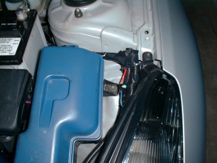 Nos190pic8.jpg